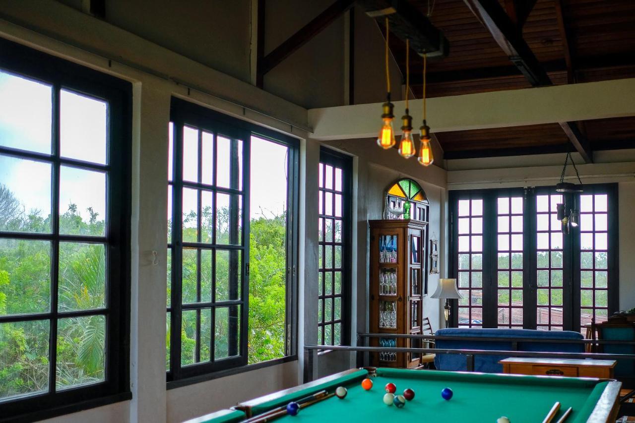 فندق The Cats' House Florianópolis المظهر الخارجي الصورة