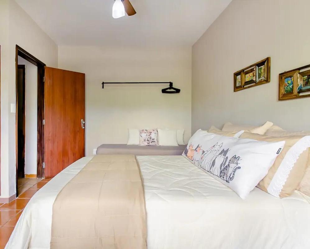 فندق The Cats' House Florianópolis المظهر الخارجي الصورة