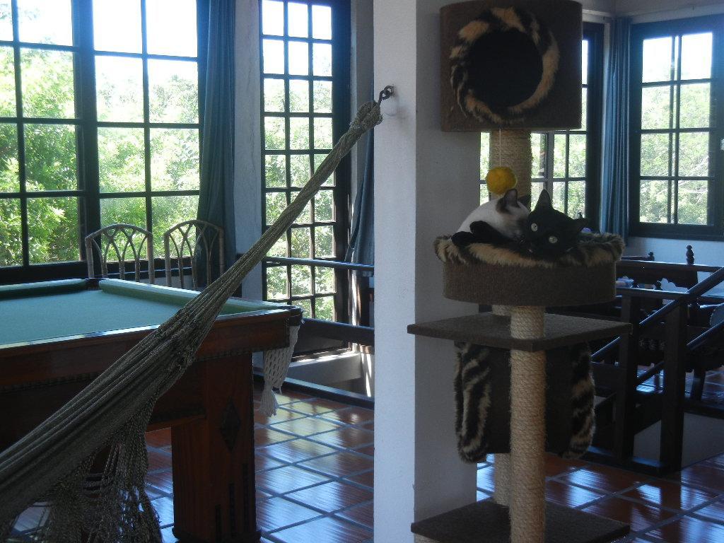 فندق The Cats' House Florianópolis المظهر الخارجي الصورة