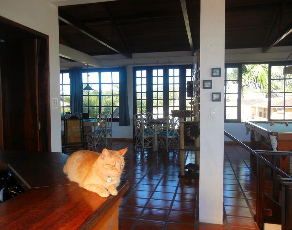 فندق The Cats' House Florianópolis المظهر الخارجي الصورة