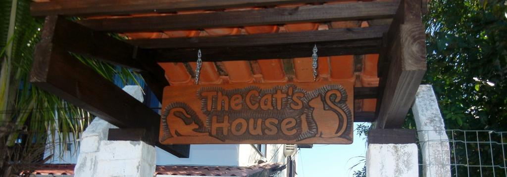 فندق The Cats' House Florianópolis المظهر الخارجي الصورة