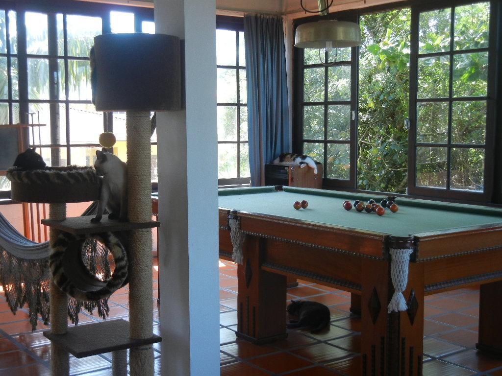فندق The Cats' House Florianópolis المظهر الخارجي الصورة
