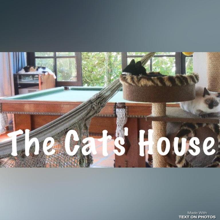 فندق The Cats' House Florianópolis المظهر الخارجي الصورة