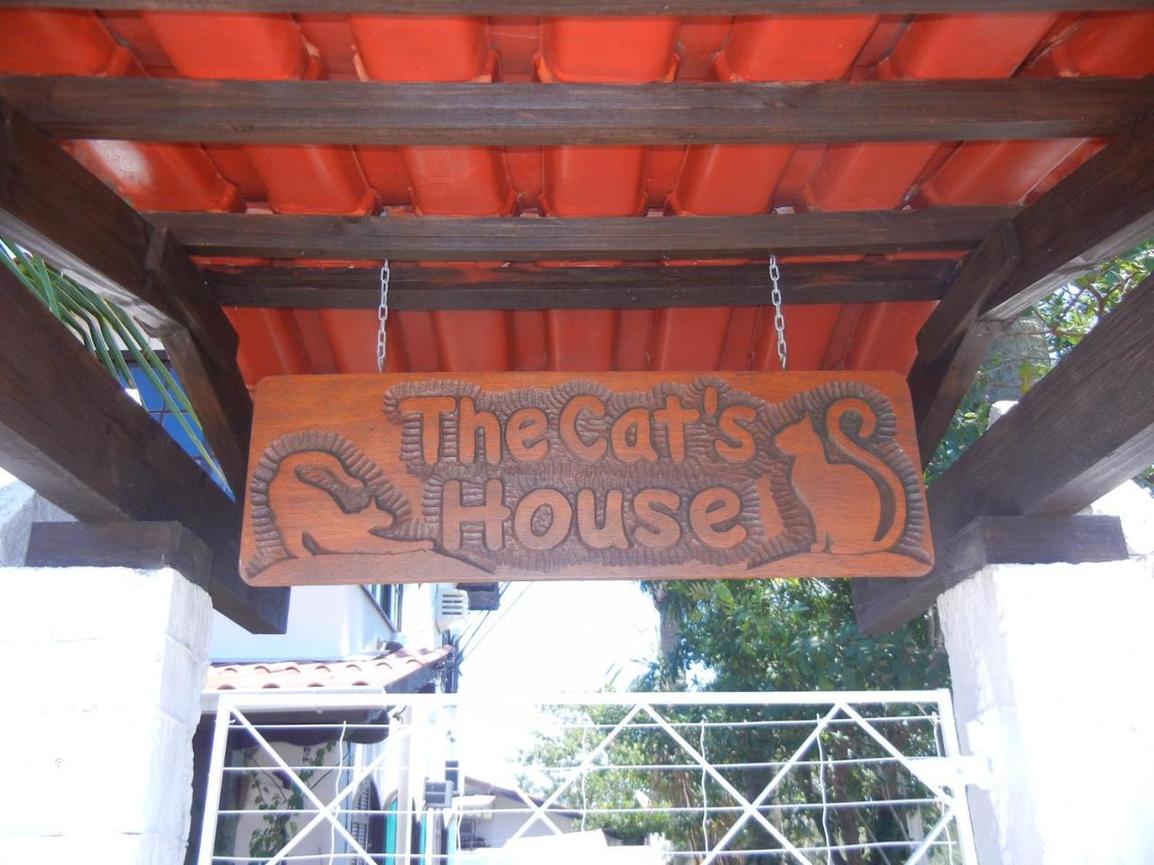 فندق The Cats' House Florianópolis المظهر الخارجي الصورة