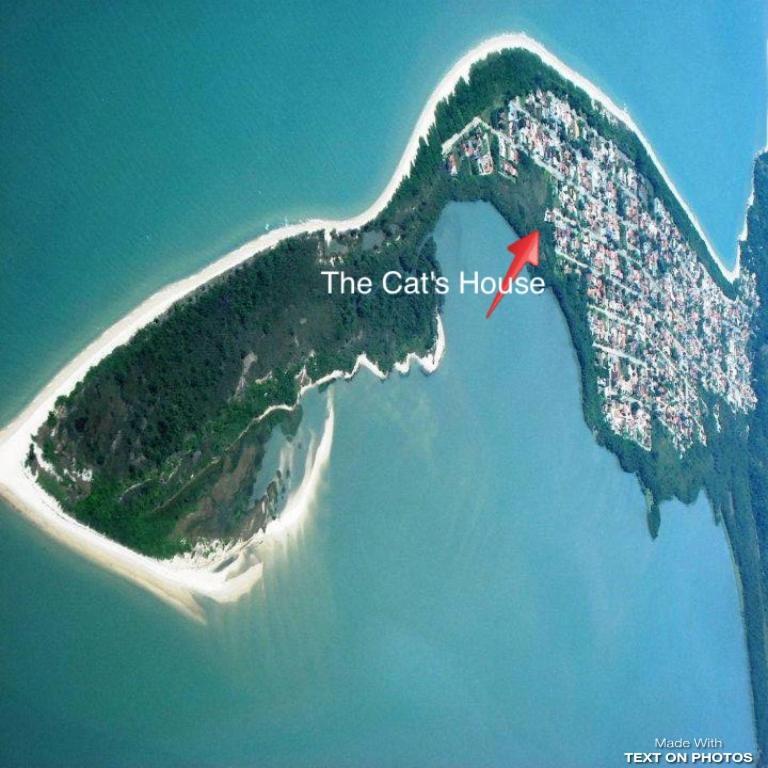 فندق The Cats' House Florianópolis المظهر الخارجي الصورة